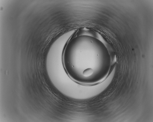 X0000087680748200705181729