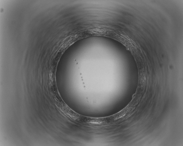 X0000087680749200705181729