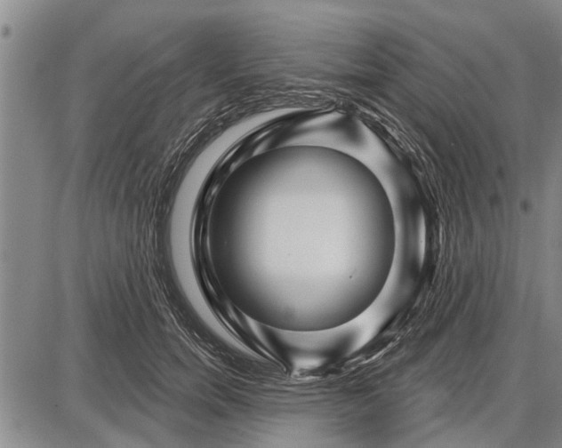 X0000087680750200705181729