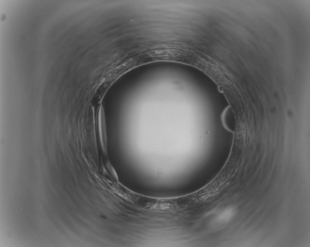 X0000087680751200705181729