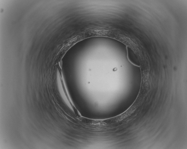 X0000087680752200705181729