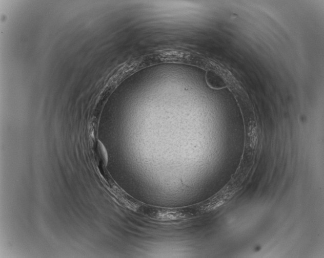 X0000087680753200705181729