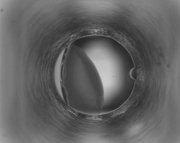 X0000087680754200705181729