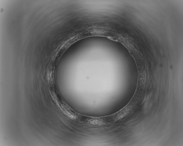 X0000087680755200705181729