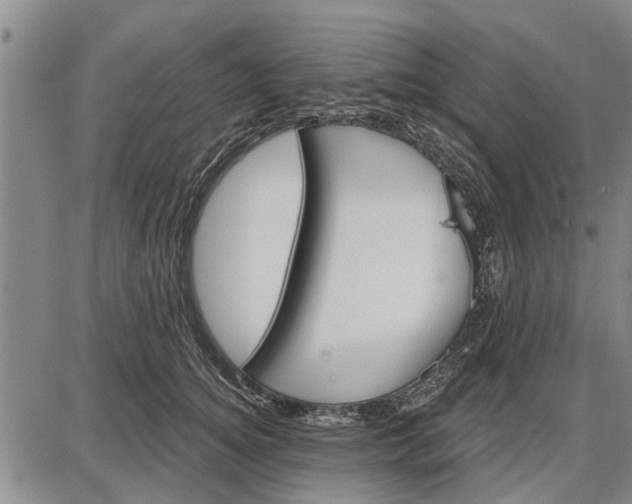 X0000087680756200705181729