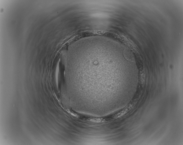 X0000087680757200705181729