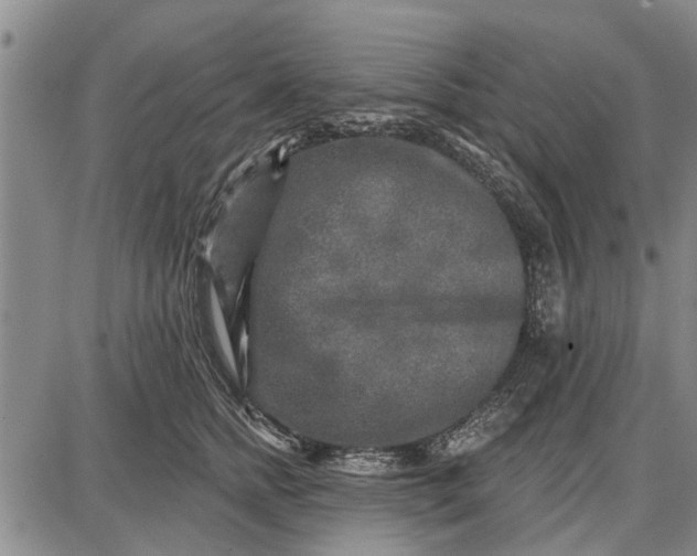 X0000087680758200705181729