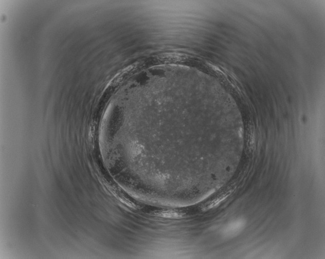 X0000087680759200705181729