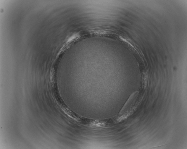 X0000087680760200705181729