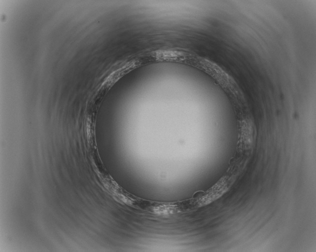 X0000087680761200705181729