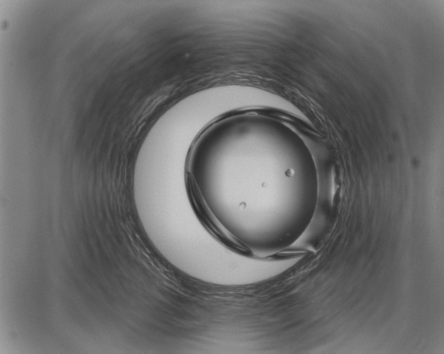 X0000087680762200705181729