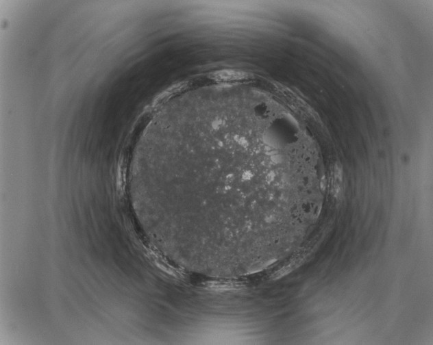 X0000087680763200705181729