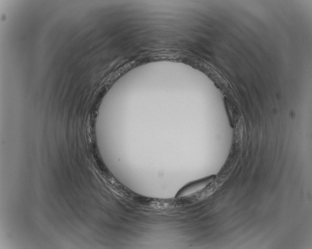 X0000087680764200705181729