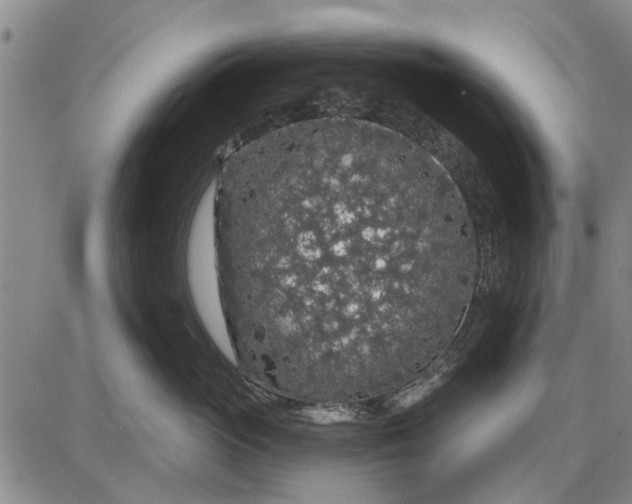 X0000087680765200705181729