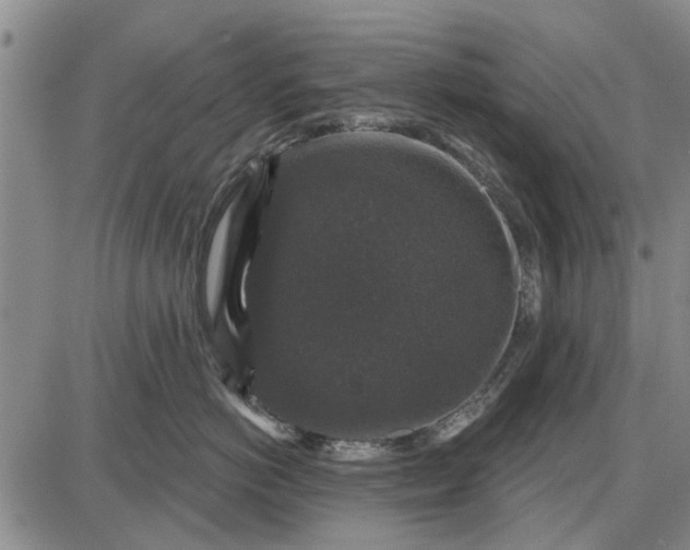 X0000087680766200705181729