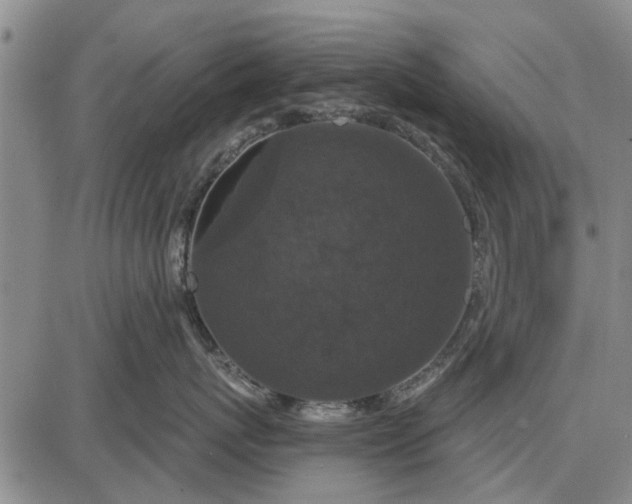 X0000087680767200705181729