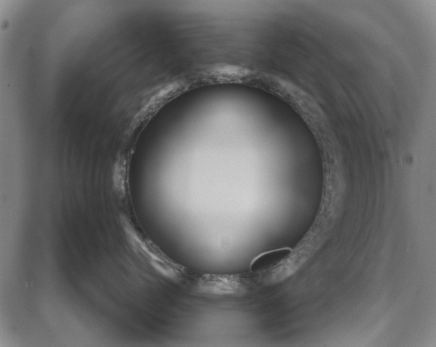 X0000087680768200705181729