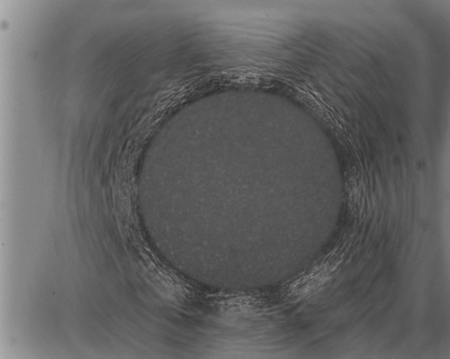 X0000087680769200705181729