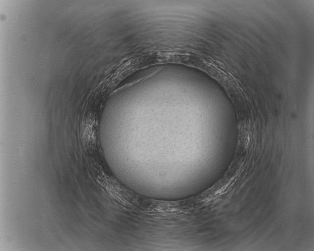 X0000087680770200705181729