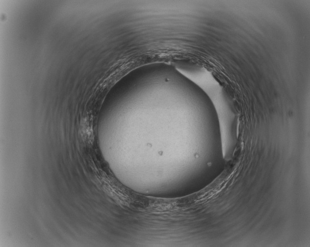 X0000087680771200705181729