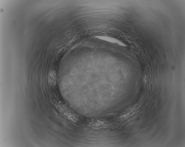 X0000087680772200705181729