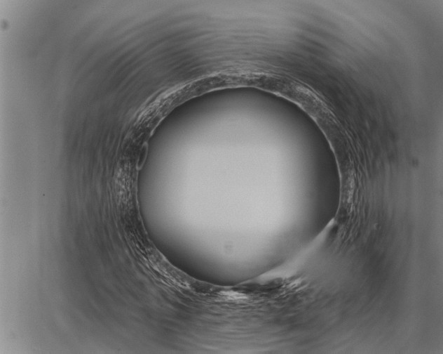 X0000087680773200705181729