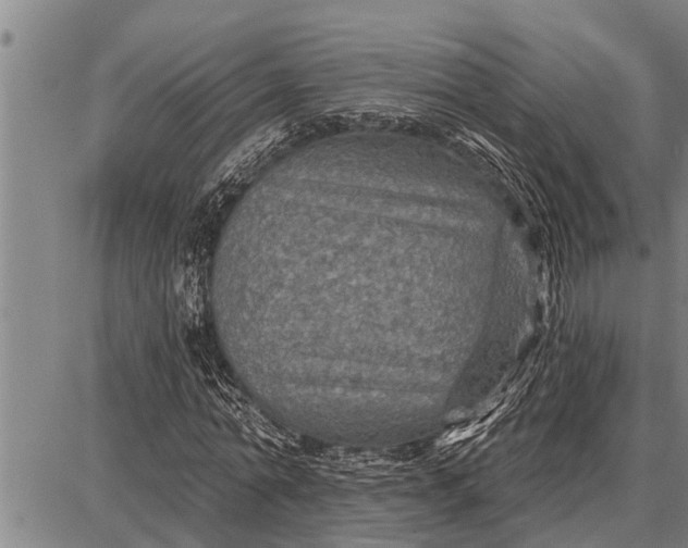 X0000087680774200705181729