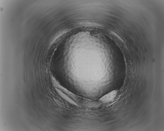 X0000087680775200705181729