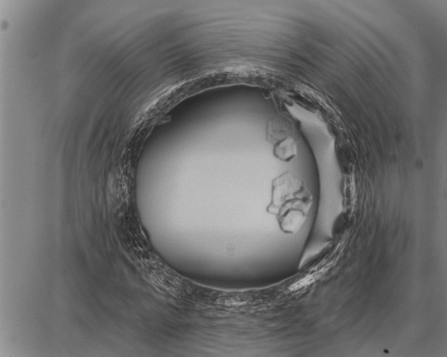 X0000087680776200705181729