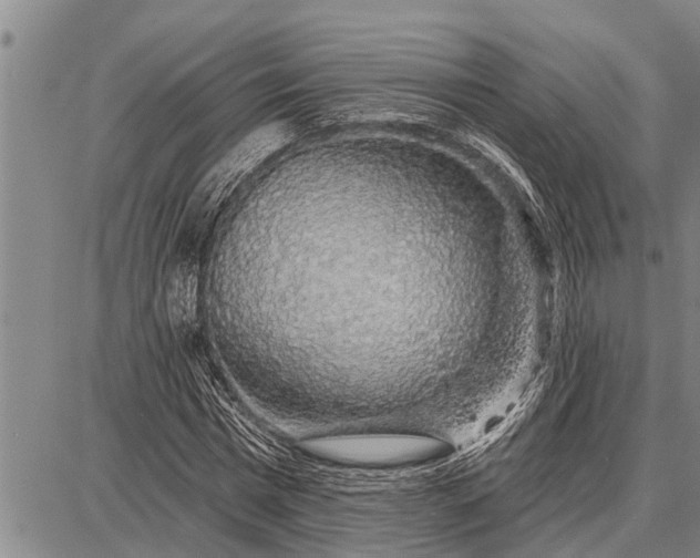 X0000087680777200705181729