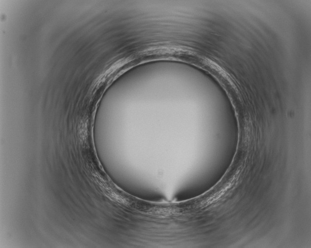 X0000087680778200705181728