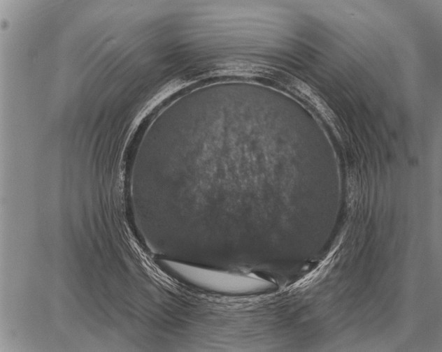 X0000087680779200705181728