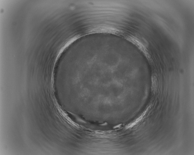 X0000087680780200705181728