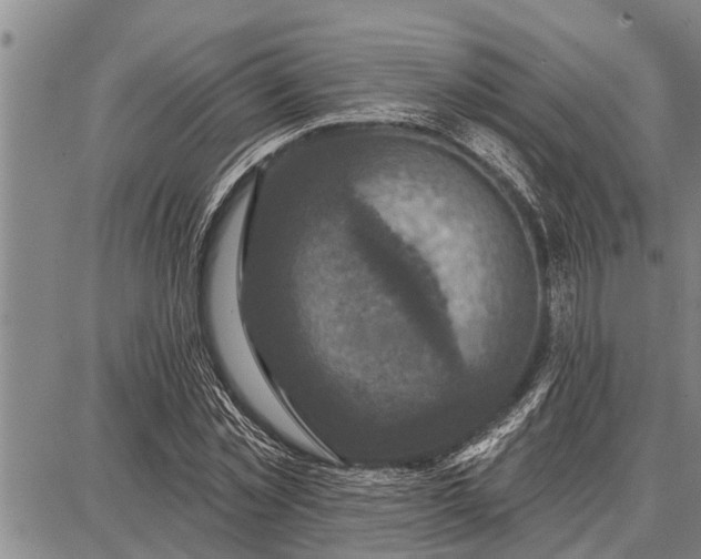 X0000087680781200705181728