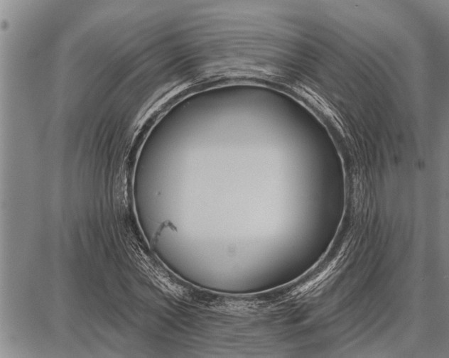 X0000087680782200705181728