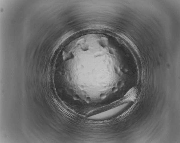 X0000087680783200705181728