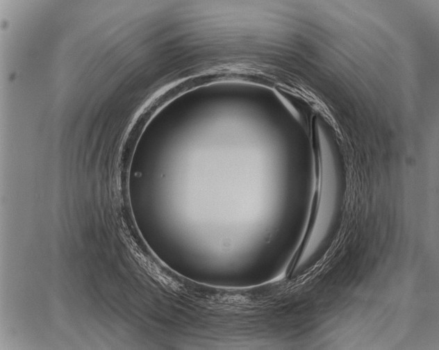 X0000087680784200705181728