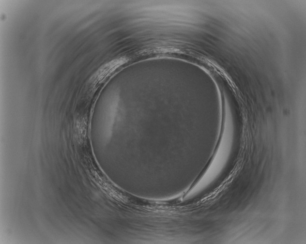 X0000087680785200705181728