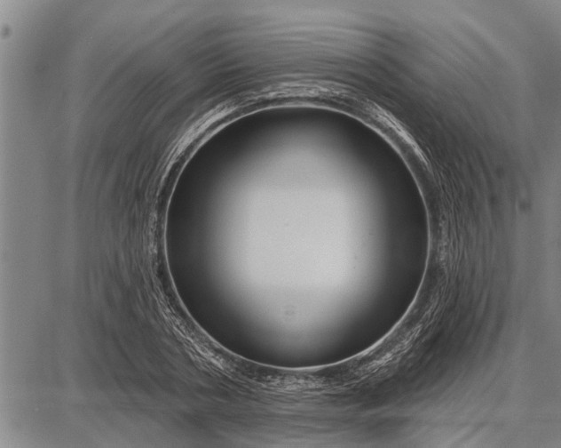 X0000087680786200705181728