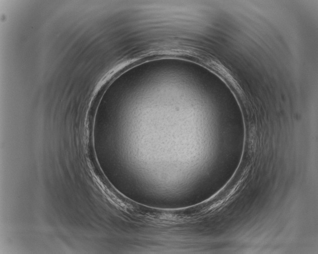 X0000087680787200705181728