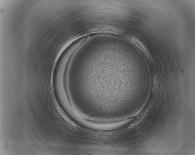 X0000087680788200705181728