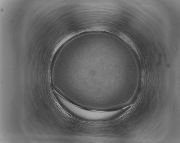 X0000087680789200705181728