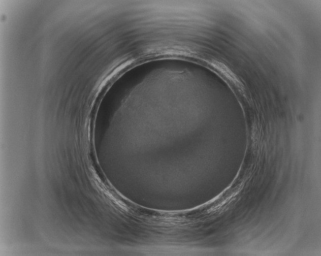 X0000087680790200705181728