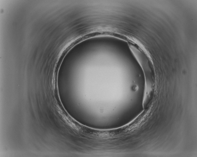 X0000087680791200705181728