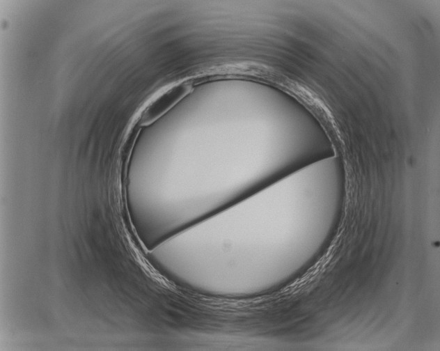 X0000087680792200705181728