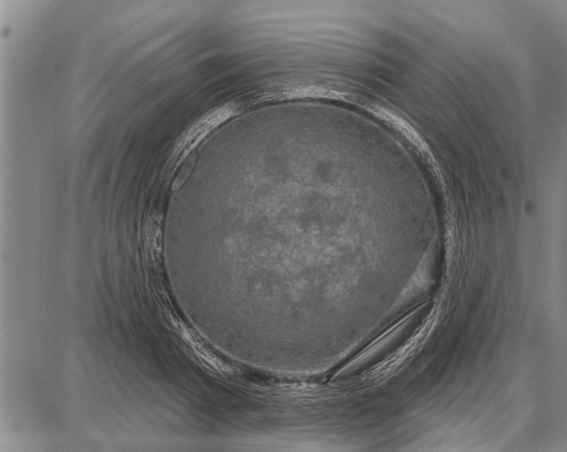 X0000087680793200705181728