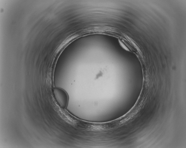 X0000087680794200705181728