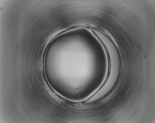 X0000087680795200705181728