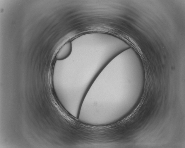 X0000087680796200705181728