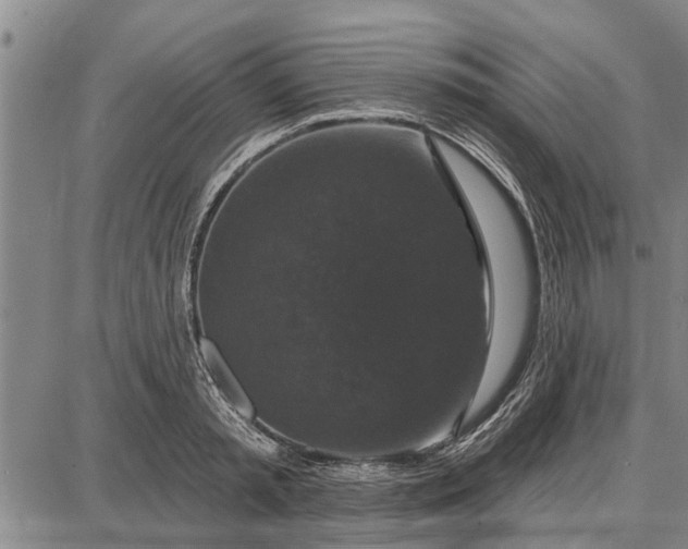 X0000087680797200705181728